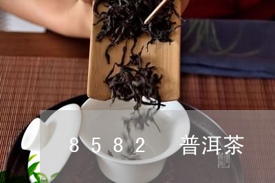 8582 普洱茶/2023041213057